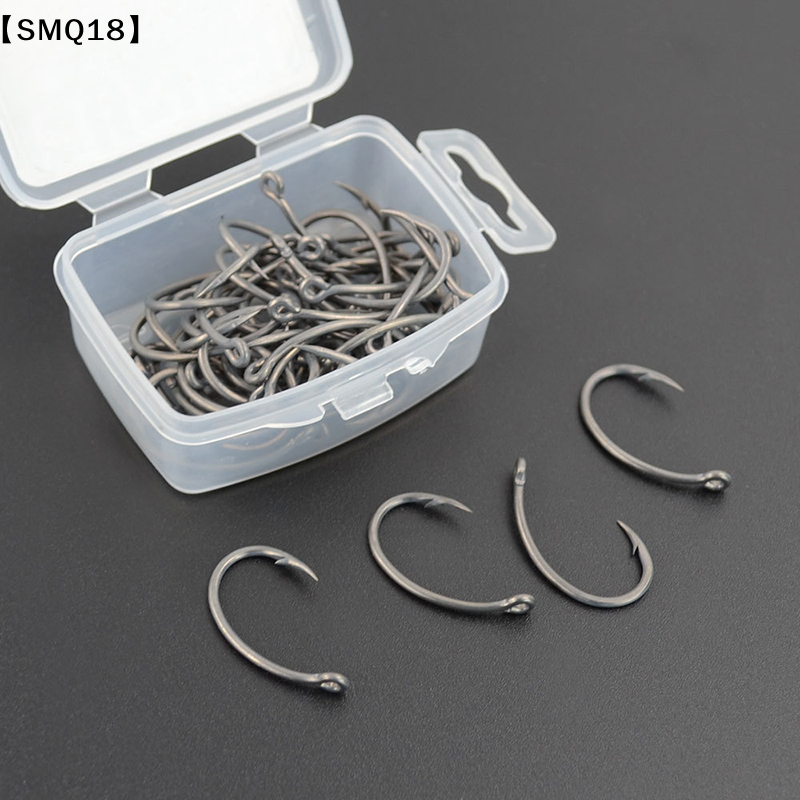 Hirisi 50 stuks haken in doos  - Fishing Equipment Storage recensie en prijs